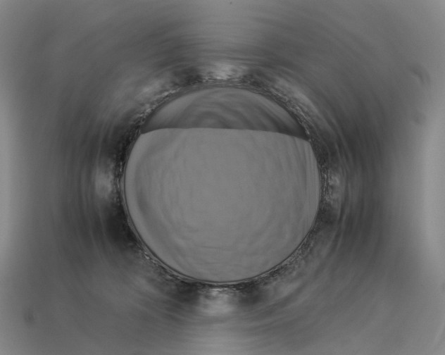 X0000113110324200909251057