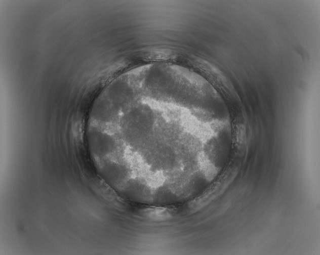 X0000113110326200909251057