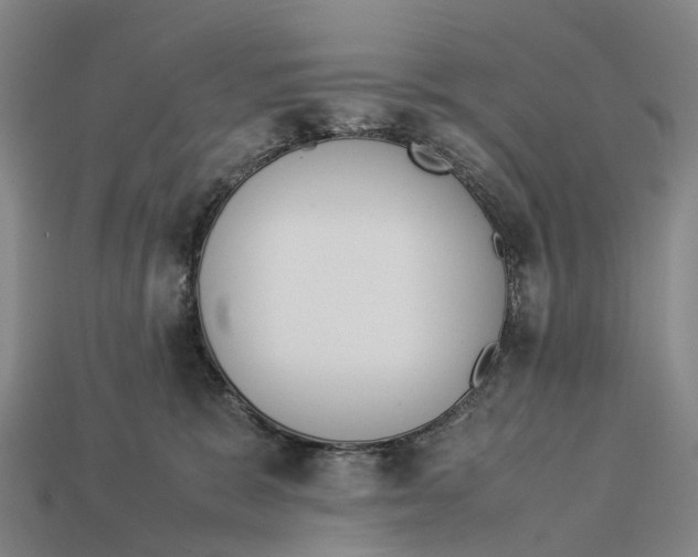 X0000113110327200909251057