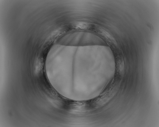 X0000113110328200909251057