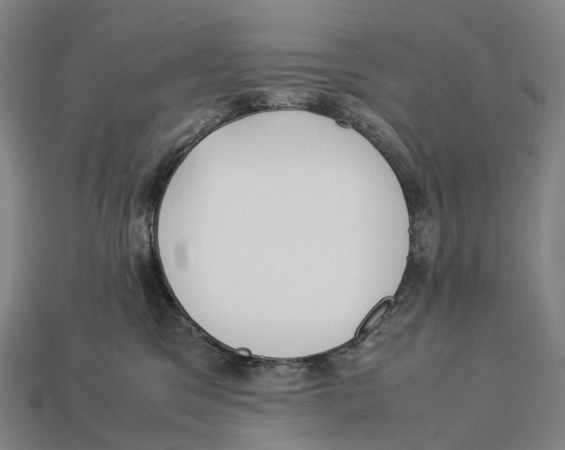 X0000113110329200909251057