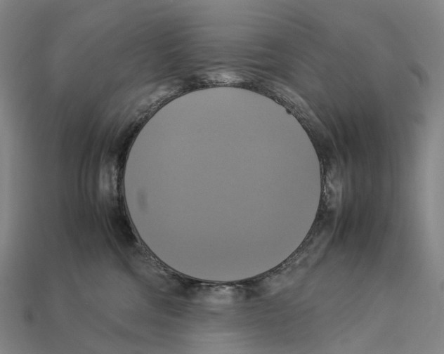 X0000113110330200909251057