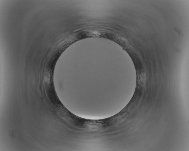 X0000113110331200909251057