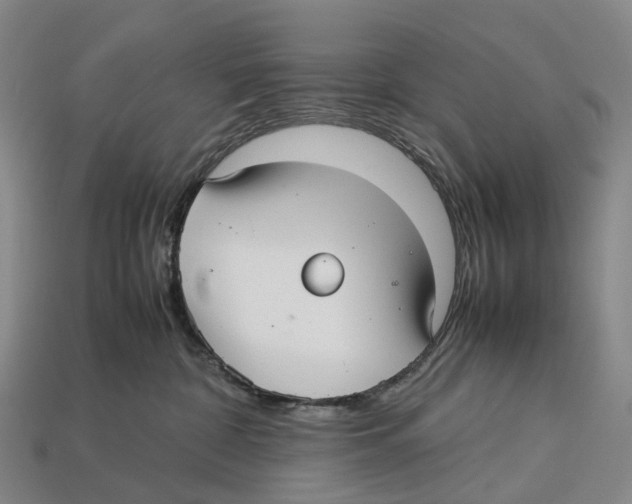 X0000113110332200909251057
