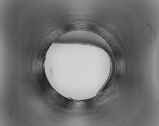 X0000113110333200909251057