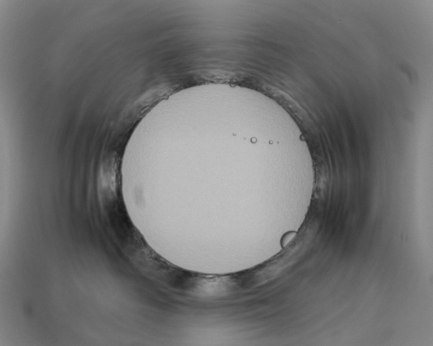 X0000113110334200909251057
