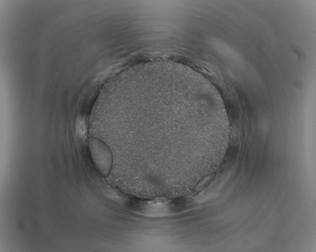 X0000113110335200909251057