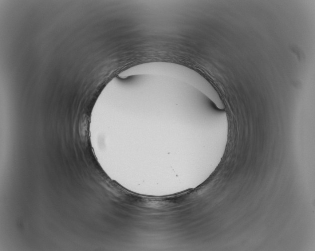 X0000113110336200909251057