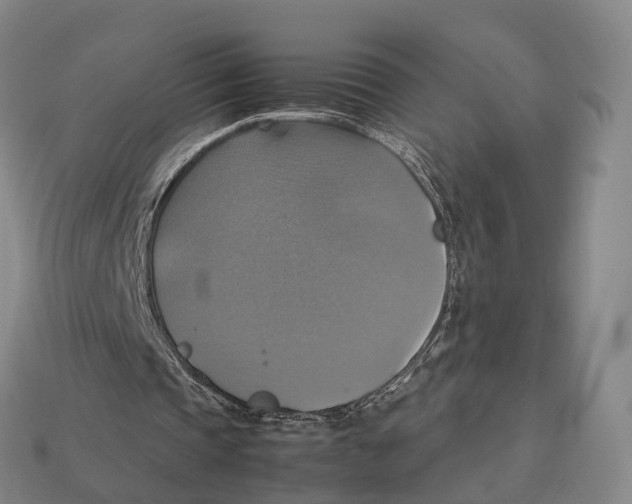 X0000113110337200909251056