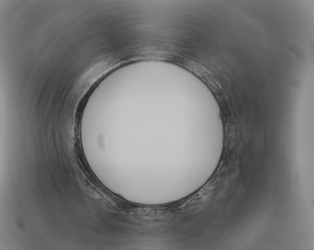 X0000113110338200909251057