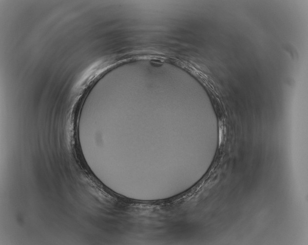 X0000113110339200909251057