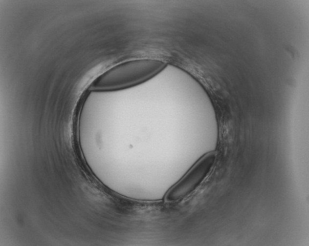 X0000113110340200909251057