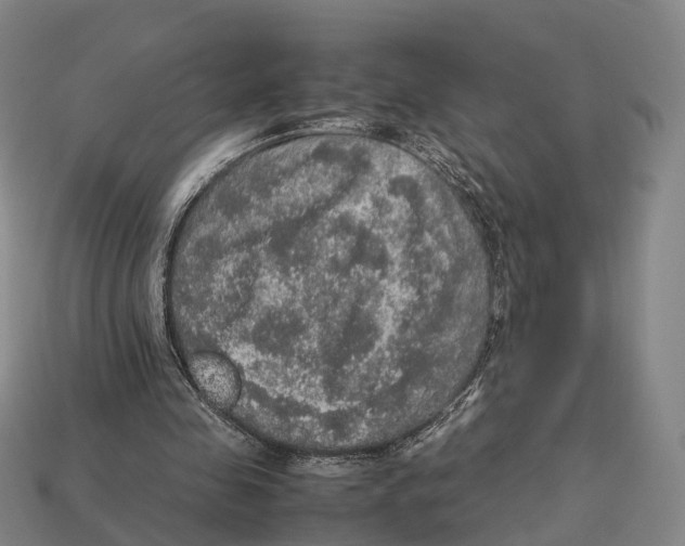 X0000113110341200909251057