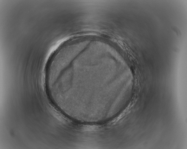 X0000113110342200909251057