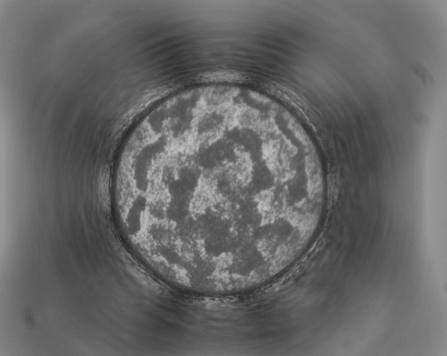X0000113110345200909251057