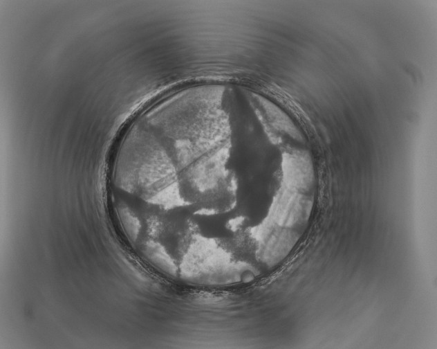 X0000113110346200909251057