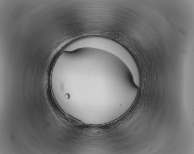 X0000113110348200909251057