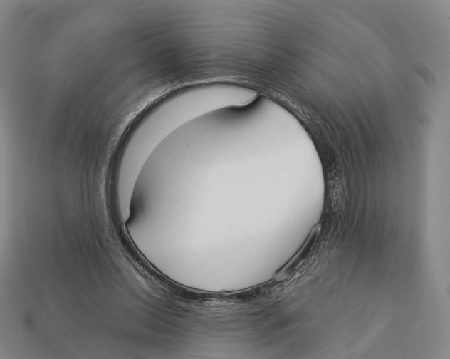 X0000113110350200909251057