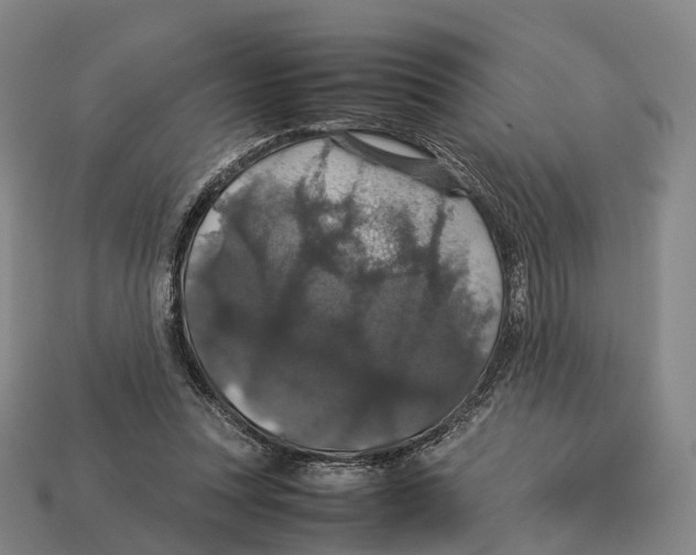 X0000113110351200909251057