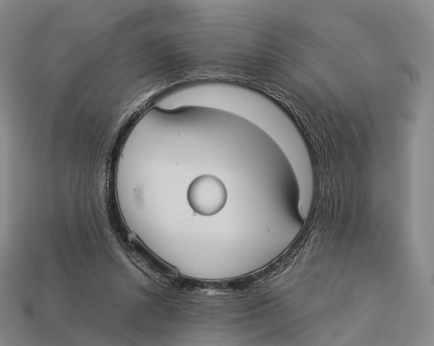 X0000113110352200909251057