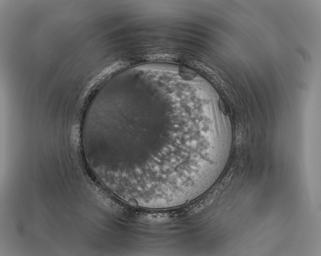 X0000113110353200909251057