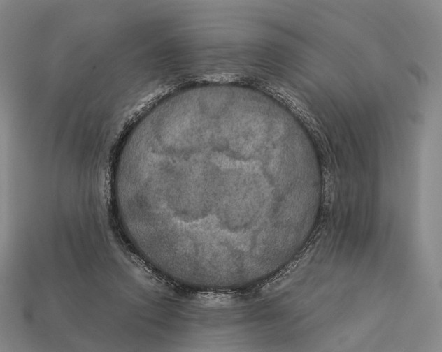 X0000113110354200909251057