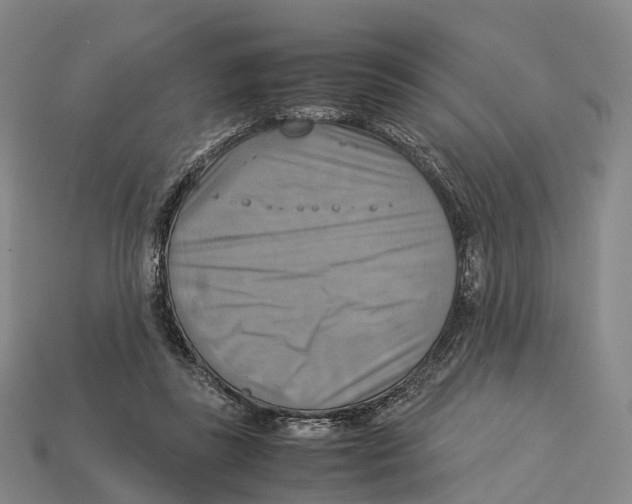 X0000113110355200909251057
