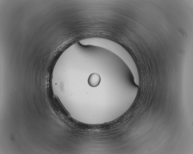 X0000113110356200909251057