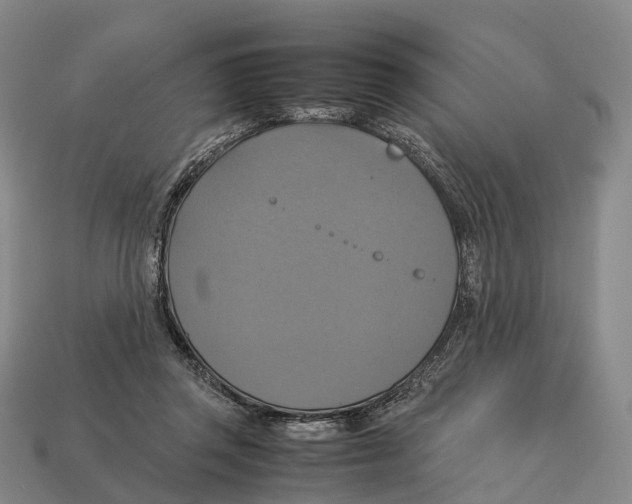 X0000113110357200909251057