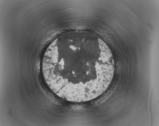X0000113110358200909251057