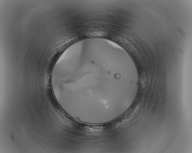 X0000113110359200909251057