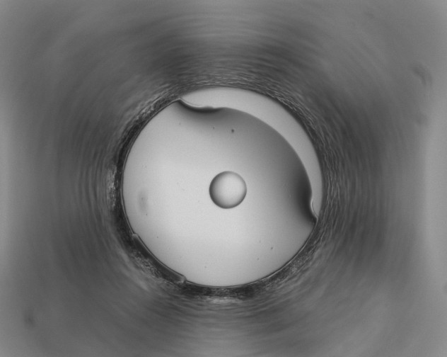 X0000113110360200909251057