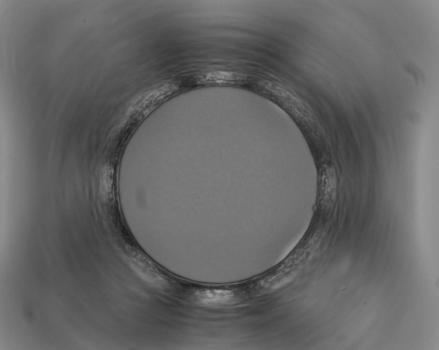 X0000113110361200909251057