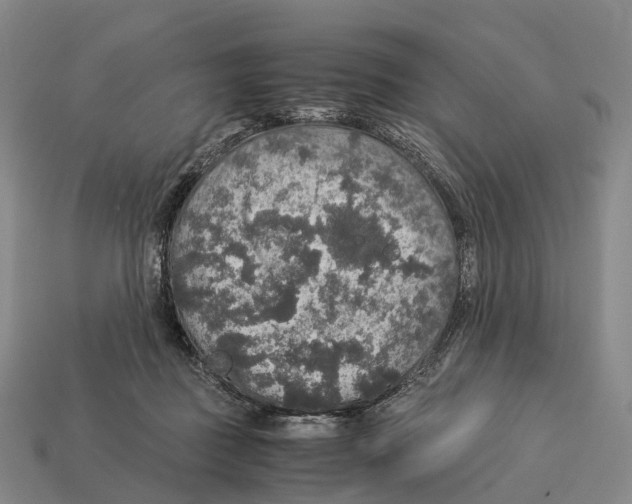 X0000113110363200909251057