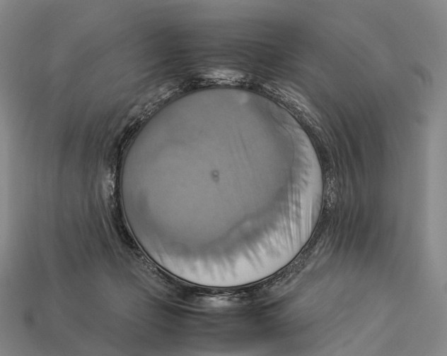 X0000113110365200909251057