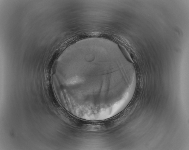 X0000113110366200909251057