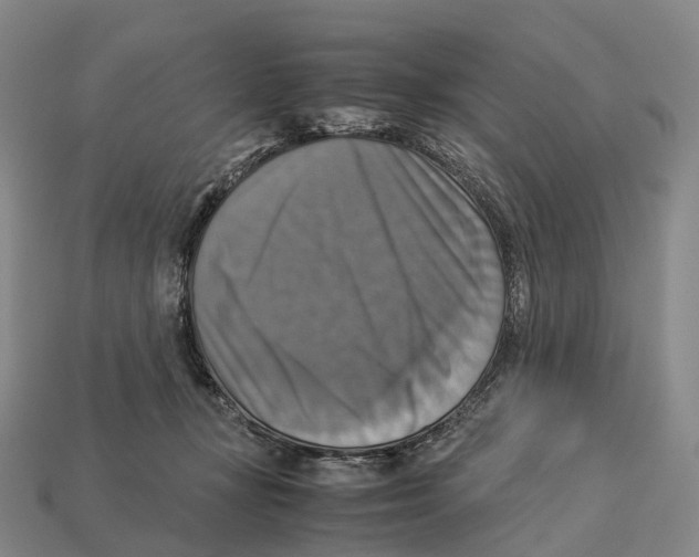 X0000113110367200909251057