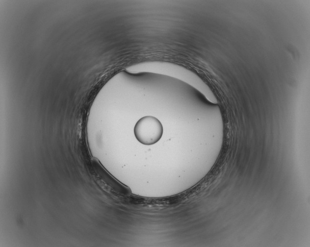 X0000113110368200909251057