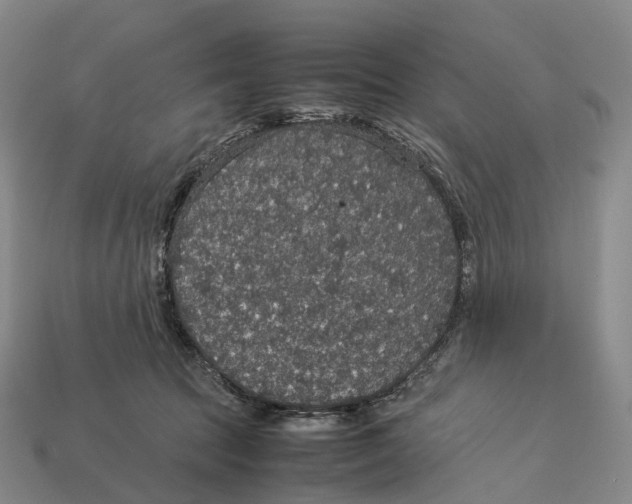 X0000113110369200909251057