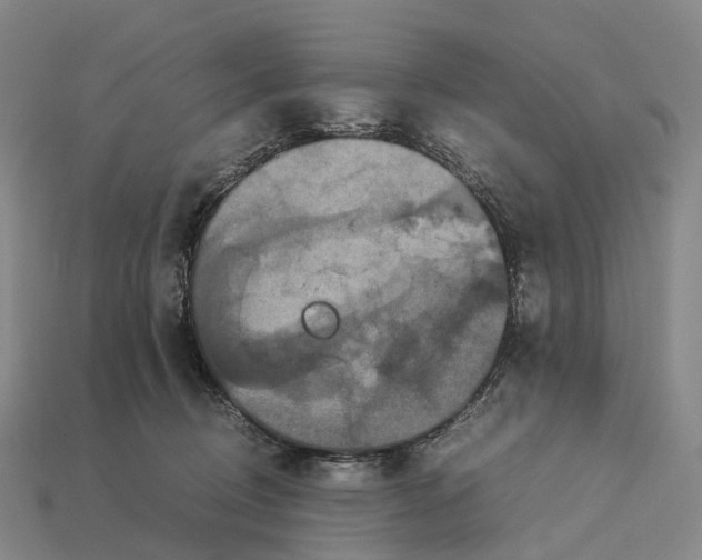 X0000113110370200909251057