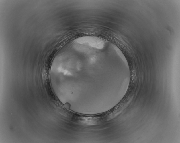 X0000113110371200909251057