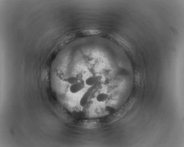X0000113110373200909251057