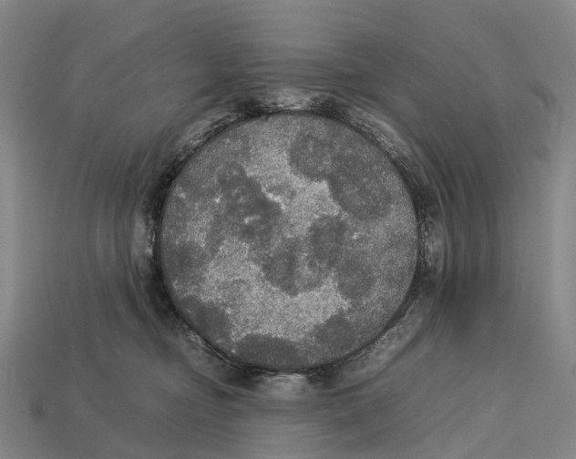 X0000113110374200909251057