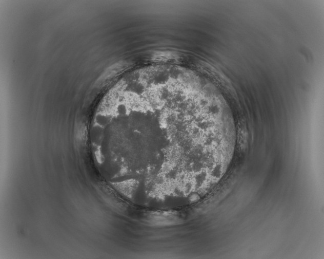 X0000113110375200909251057