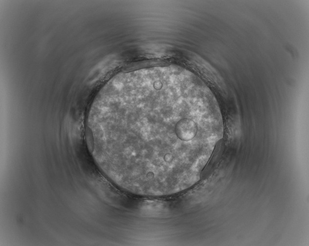 X0000113110376200909251057