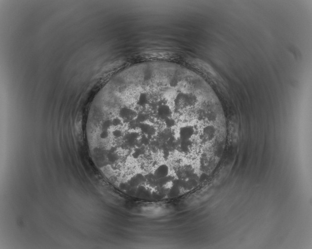 X0000113110377200909251057