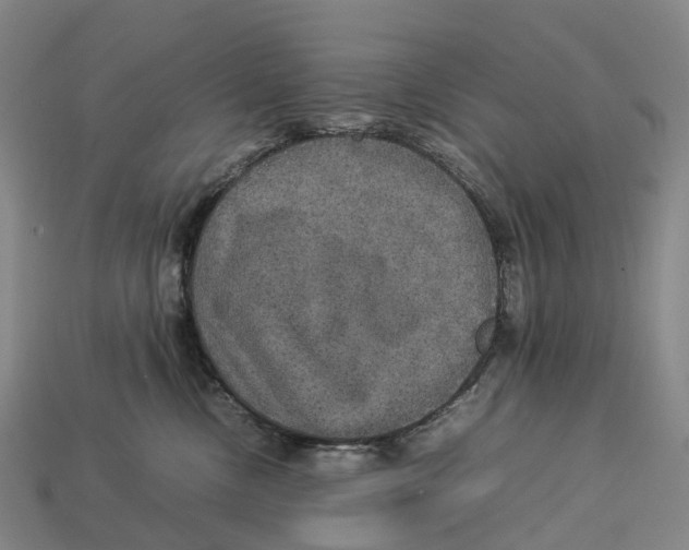 X0000113110378200909251057