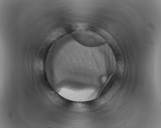 X0000113110380200909251057