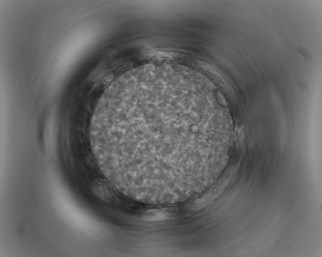 X0000113110381200909251057
