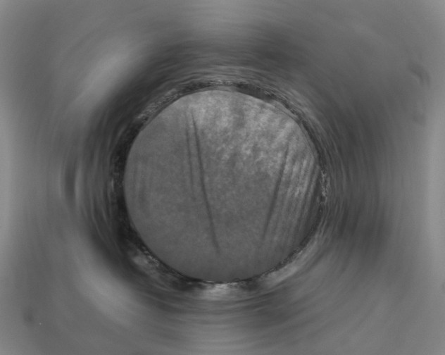 X0000113110382200909251057